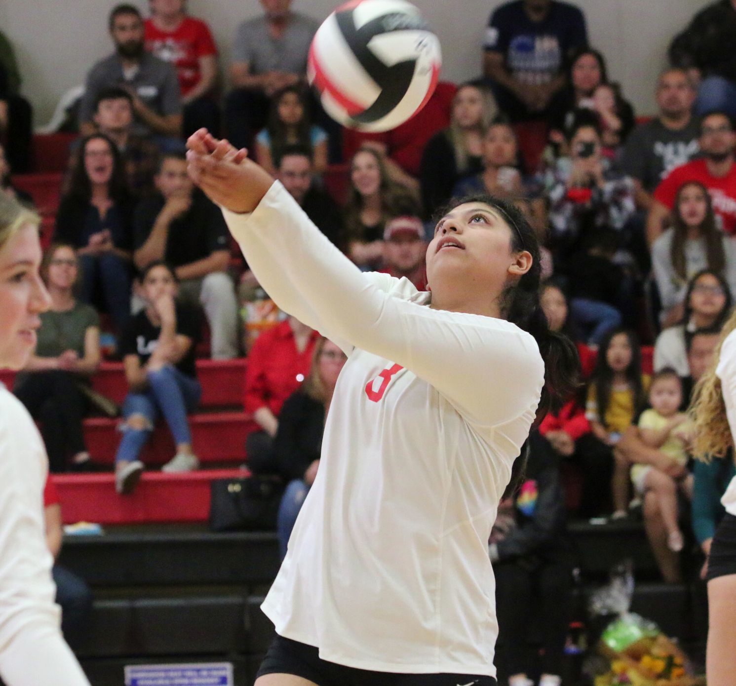 Bullpups claim victory over Tigers in thrilling season finale
